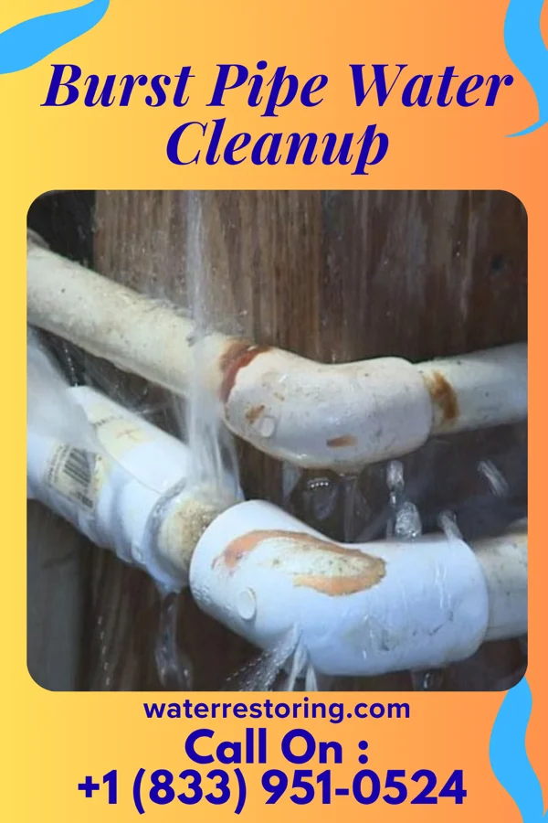 Burst Pipe Water Cleanup in Mount Croghan, SC